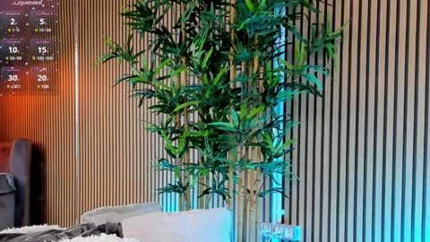 AVRILL CYRUX online show from 01.28.25