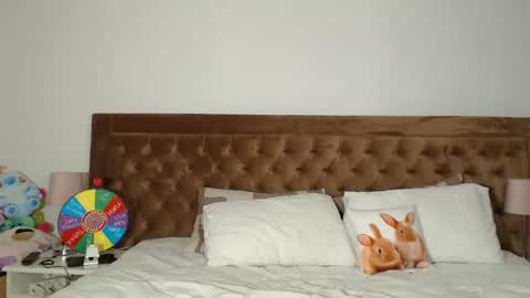 Aylin online show from 12.31.24