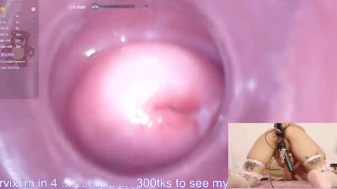 Snapshot of ayumi_tanaka chatting on 12.19.24   online show from 12.19.24