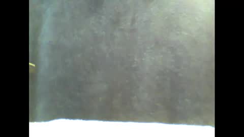 b1gg9inch online show from 01.20.25