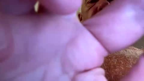 benito online show from 09.28.25