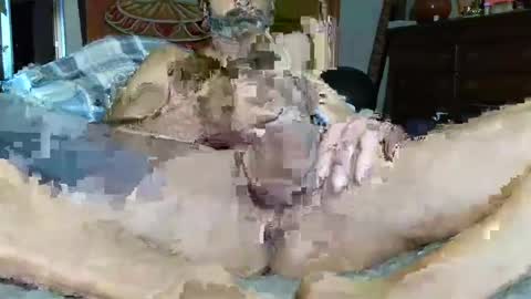 Poindexxxter online show from 12.16.24