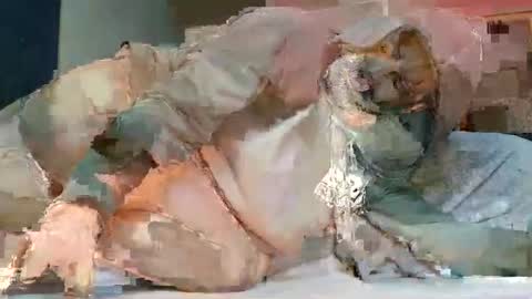 Poindexxxter online show from 02.20.25