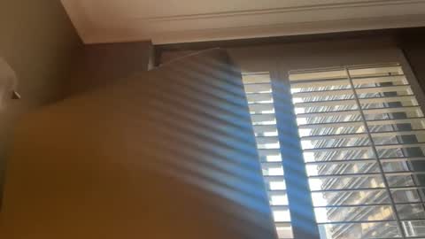 Snapshot of babychinoo chatting on 09.21.25 bcin online show from 09.21.25