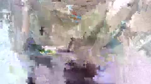 Snapshot of babymom1 chatting on 03.07.25 babymom1 online show from 03.07.25