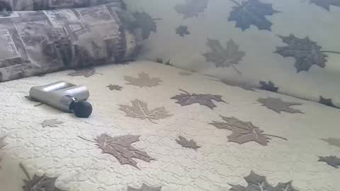 Snapshot of babymom1 chatting on 03.09.25 babymom1 online show from 03.09.25