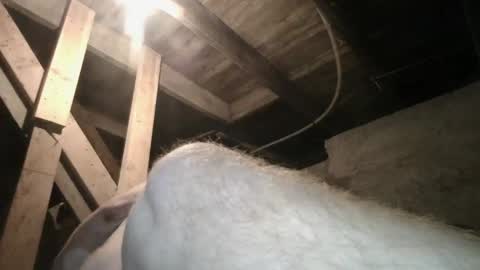 babyxxxangel online show from 09.20.25