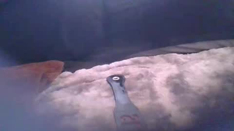 bacchusexx15 online show from 04.17.26