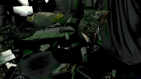 Snapshot of baddaddy215 chatting on 12.09.24 baddaddy215 online show from 12.09.24