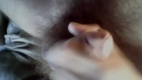 Baghira online show from 09.27.25