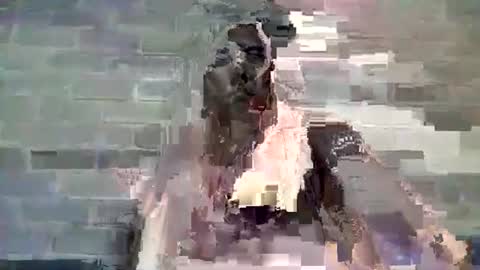 Snapshot of baielekker81578 chatting on 01.10.25 Chaterlain online show from 01.10.25