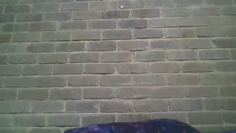 Snapshot of baielekker81578 chatting on 01.19.25 Chaterlain online show from 01.19.25