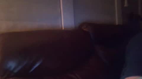 bake66999 online show from 02.05.26