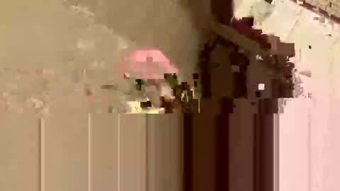 barkley314 online show from 11.03.25