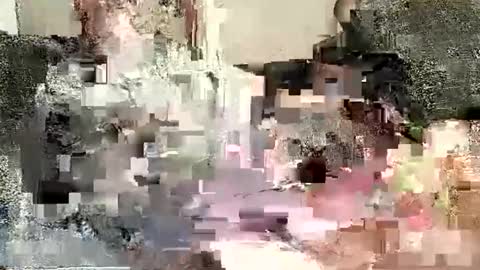 Batman online show from 01.02.25