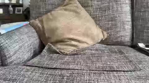 baykiwi54 online show from 02.11.26