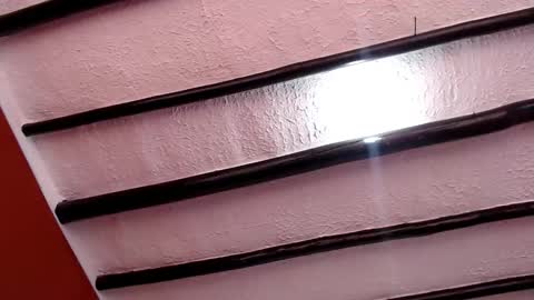 bayonette_black online show from 03.07.25