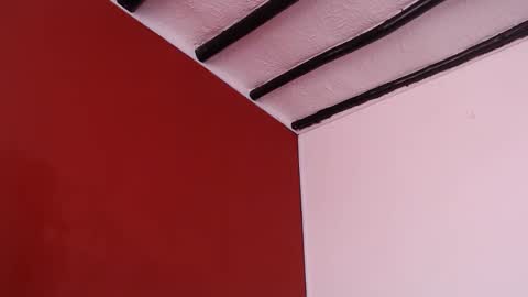 bayonette_black online show from 09.10.25