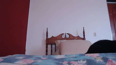 bayonette_black online show from 09.27.25