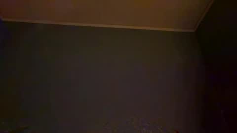 bbc_in_chitwn online show from 12.14.24