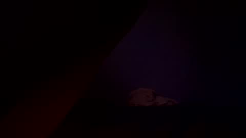 bbc_in_chitwn online show from 12.15.24