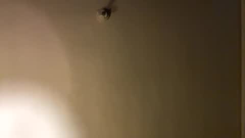 bbc_in_chitwn online show from 01.29.25