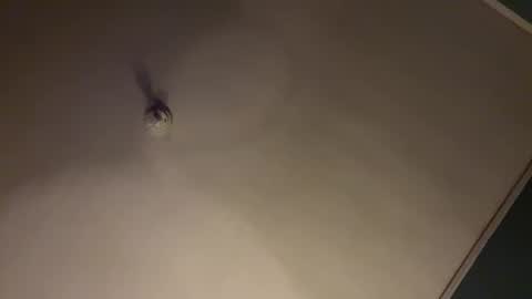 bbc_in_chitwn online show from 01.31.25