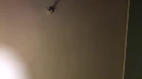 bbc_in_chitwn online show from 02.01.25