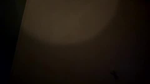 bbc_in_chitwn online show from 02.22.25