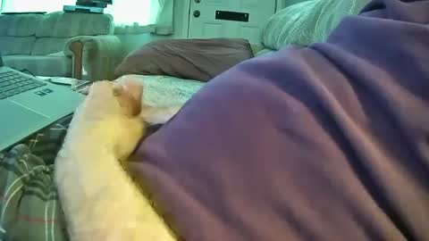 bcema2 online show from 09.26.25