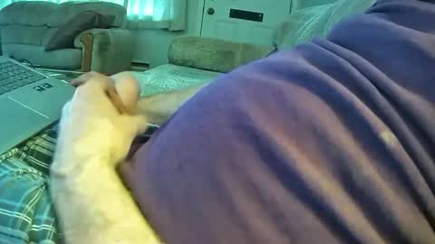 bcema2 online show from 01.06.26