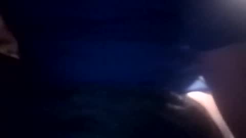 Snapshot of bcmow123 chatting on 02.22.26 bcmow123 online show from 02.22.26