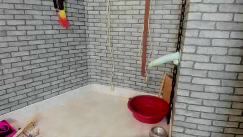 Meduza  online show from 11.17.25