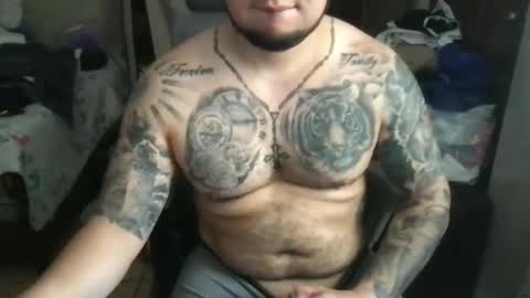 Bearcito online show from 03.05.25