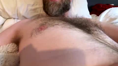 beard_papa online show from 04.20.26