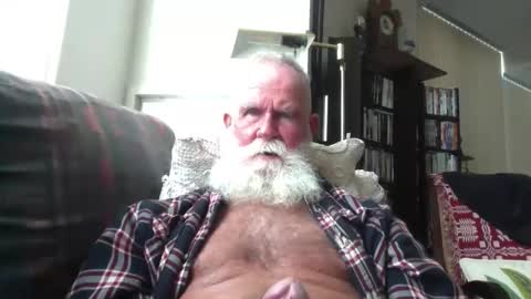 beardbushy online show from 10.20.25