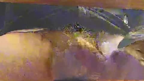 bebbi78022 online show from 10.26.25