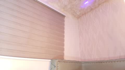 Snapshot of begoniia_ chatting on 12.28.24 Begonia online show from 12.28.24