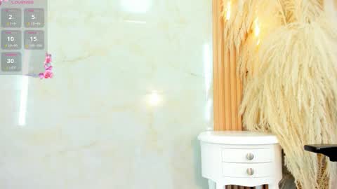 Snapshot of belkilima chatting on 12.02.25 Belkilima online show from 12.02.25