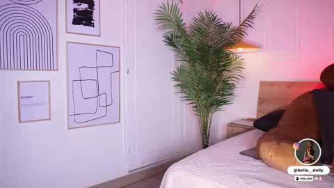    online show from 02.20.26