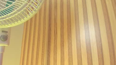 Snapshot of bella__sweets chatting on 02.13.26 Melanie online show from 02.13.26