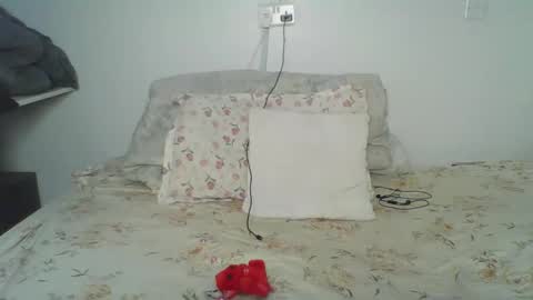 bellah online show from 02.24.26