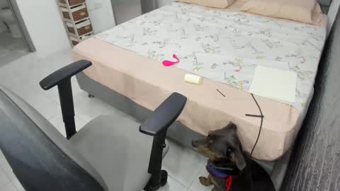 Snapshot of bellaprettty chatting on 02.20.25 Bella Angelycal online show from 02.20.25