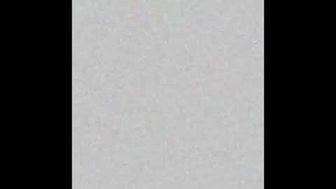 Bella online show from 02.25.26