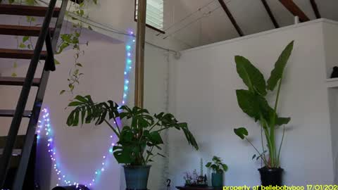 Snapshot of bellebabyboo chatting on 01.18.25 BELLE   online show from 01.18.25