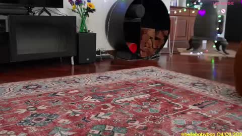 Snapshot of bellebabyboo chatting on 03.04.25 BELLE   online show from 03.04.25