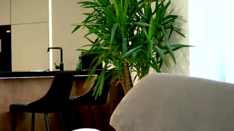 Belle online show from 03.12.25