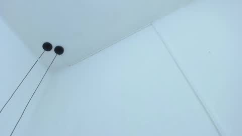 Bellota Flak online show from 12.11.24