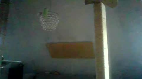 benizio online show from 01.24.25