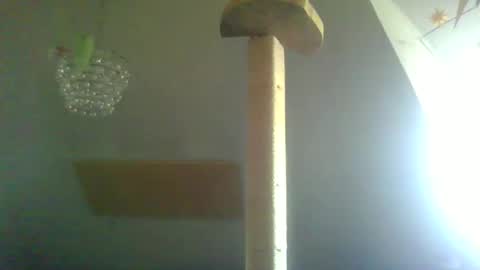 benizio online show from 02.22.25